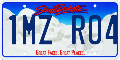 SD license plate 1MZR04