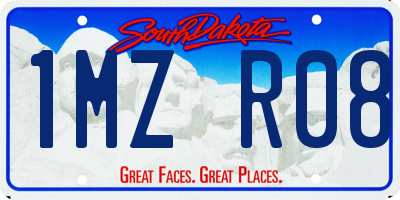 SD license plate 1MZR08