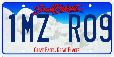 SD license plate 1MZR09