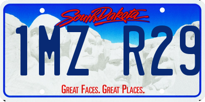 SD license plate 1MZR29