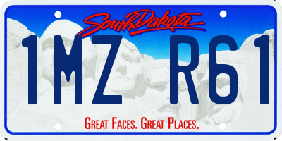 SD license plate 1MZR61