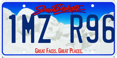 SD license plate 1MZR96