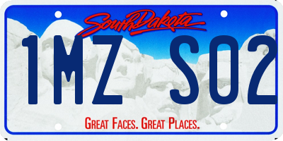 SD license plate 1MZS02