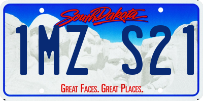 SD license plate 1MZS21
