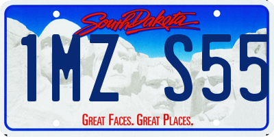 SD license plate 1MZS55