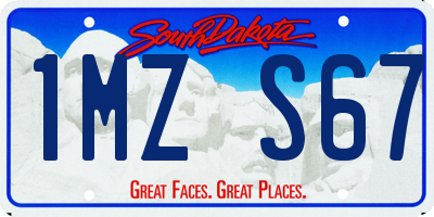 SD license plate 1MZS67