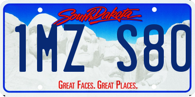 SD license plate 1MZS80