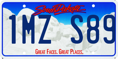 SD license plate 1MZS89