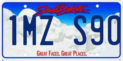 SD license plate 1MZS90