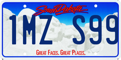 SD license plate 1MZS99