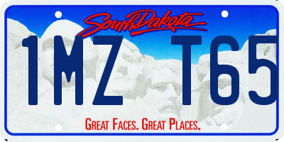 SD license plate 1MZT65