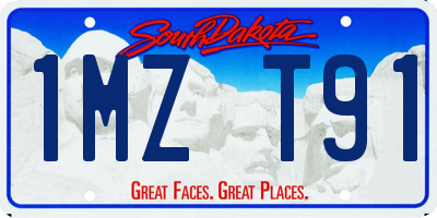 SD license plate 1MZT91