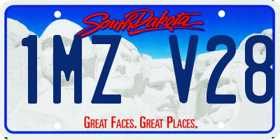SD license plate 1MZV28