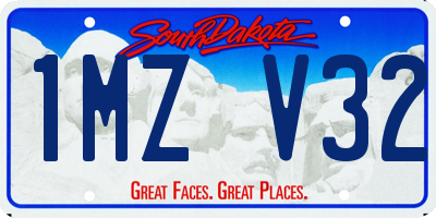 SD license plate 1MZV32