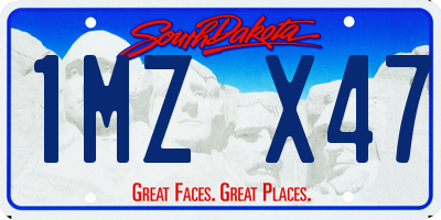 SD license plate 1MZX47