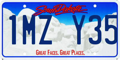 SD license plate 1MZY35