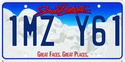 SD license plate 1MZY61