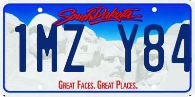 SD license plate 1MZY84