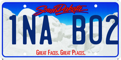 SD license plate 1NAB02