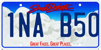 SD license plate 1NAB50