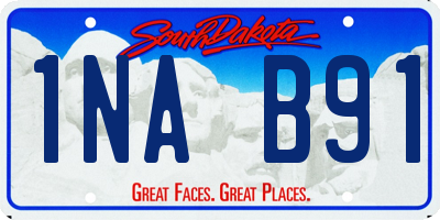 SD license plate 1NAB91