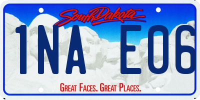 SD license plate 1NAE06