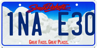 SD license plate 1NAE30