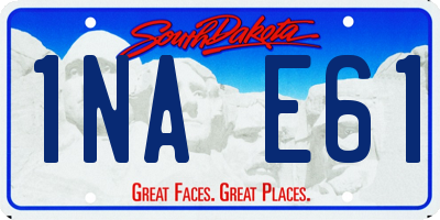 SD license plate 1NAE61