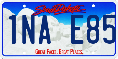 SD license plate 1NAE85