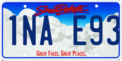 SD license plate 1NAE93