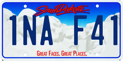 SD license plate 1NAF41