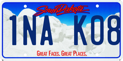 SD license plate 1NAK08