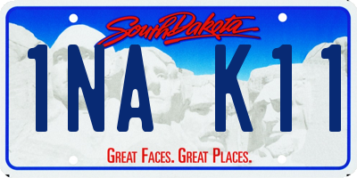SD license plate 1NAK11