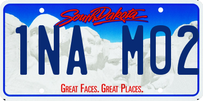 SD license plate 1NAM02