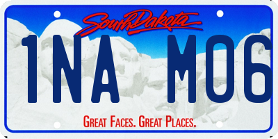 SD license plate 1NAM06