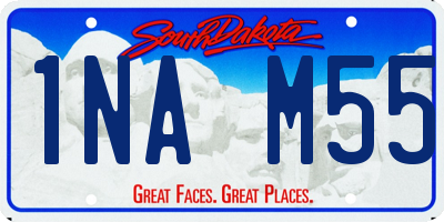 SD license plate 1NAM55