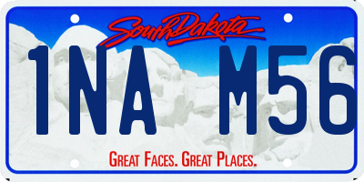 SD license plate 1NAM56