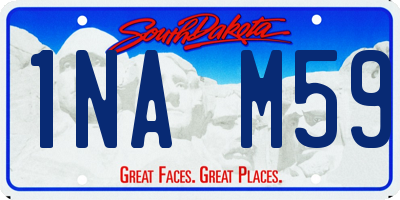 SD license plate 1NAM59