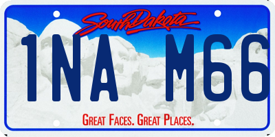 SD license plate 1NAM66