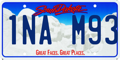 SD license plate 1NAM93
