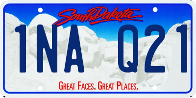 SD license plate 1NAQ21