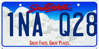 SD license plate 1NAQ28