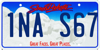 SD license plate 1NAS67