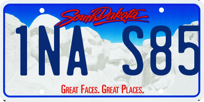 SD license plate 1NAS85