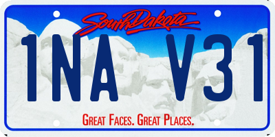 SD license plate 1NAV31