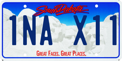 SD license plate 1NAX11
