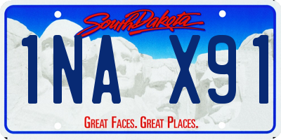 SD license plate 1NAX91