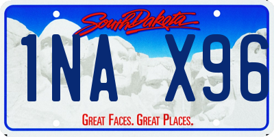 SD license plate 1NAX96
