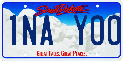 SD license plate 1NAY00