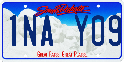 SD license plate 1NAY09